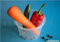 P25环保薄壁塑料餐盒-上海椿鸣贸易有限公司