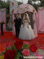 石家庄草坪婚礼|石家庄草坪婚礼策划|石家庄草坪婚礼策划公司