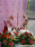 石家庄草坪婚礼|石家庄草坪婚礼策划