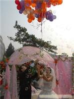 石家庄草坪婚礼|石家庄草坪婚礼策划公司