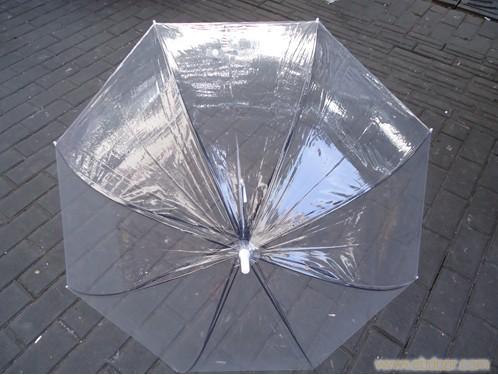 白色透明伞/上海工艺伞专业厂家生产