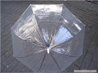 白色透明伞/上海工艺伞专业厂家生产