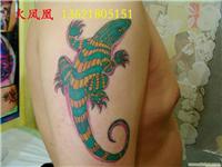 壁虎纹身-上海动物纹身图片