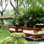 上海一日游、上海风光一日游 上海一日游+中国馆一日游