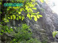 上海到杭州苏州二日游元 上海出发杭州苏州二日游