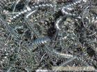 废钢回收公司-上海高价回收废钢