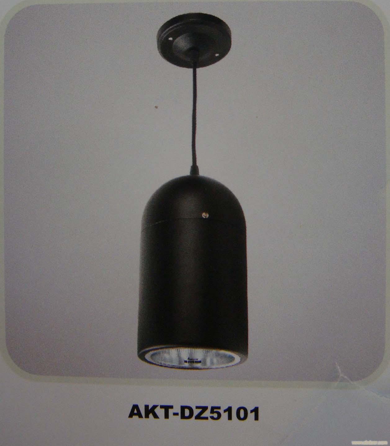 筒灯AKT-DZ5101