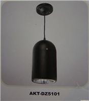 筒灯AKT-DZ5101