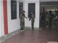 石家庄cs价格|石家庄真人cs