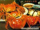 上海吃大闸蟹/大闸蟹礼券�