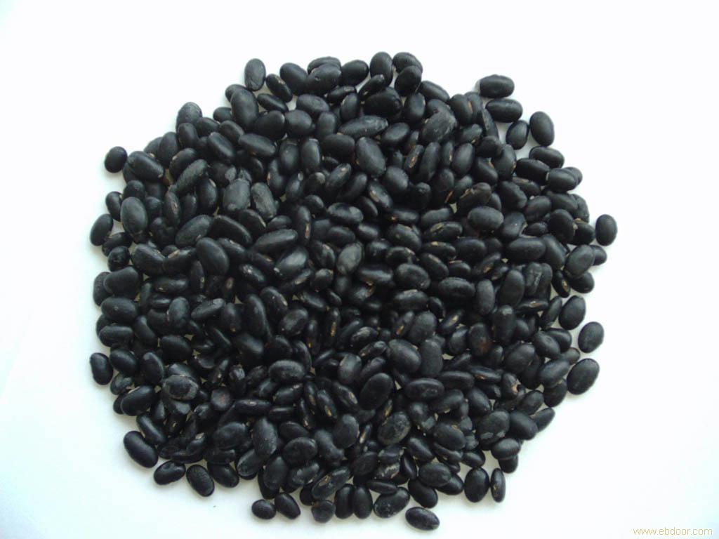 黑豆红 black bean red(ab030 uv 25%异名:野大豆红;乌豆红;黑豆