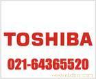 东芝TOSHIBA L202笔记本液晶屏 全新现货
