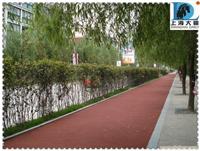 小区路面-彩色防滑路面