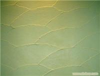 硅藻泥品牌/中国硅藻泥十大品牌-前园硅藻泥