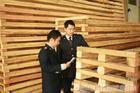 专业木质包装箱销售 杭州