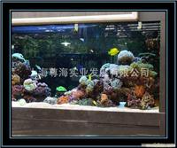 定做亚克力鱼缸价格-大型亚克力鱼缸价格/13127551978