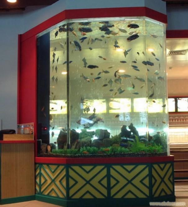 上海鱼缸订做-鱼缸订做-鱼缸订做价格-鱼缸设计定做