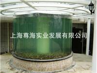 上海大型亚克力鱼缸供应/13127551978