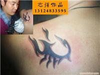 志强老师纹身中/上海的纹身店在哪里