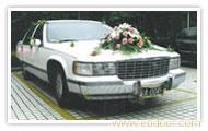 上海婚庆租车-上海婚庆租车价格