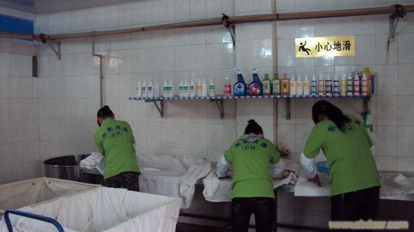 西安专业的洗涤公司