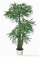 上海浦东花卉租赁公司