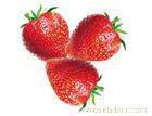 上海订购草莓/订购新鲜草莓