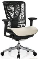 金典PE-GA-LF/人体工学椅专卖