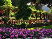 上海园林绿化工程公司