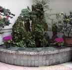 上海绿化养护公司