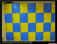 上海十二门柜定做