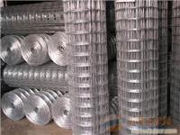 上海镀锌电焊网-不锈钢电焊网-豪衡厂家现货价格