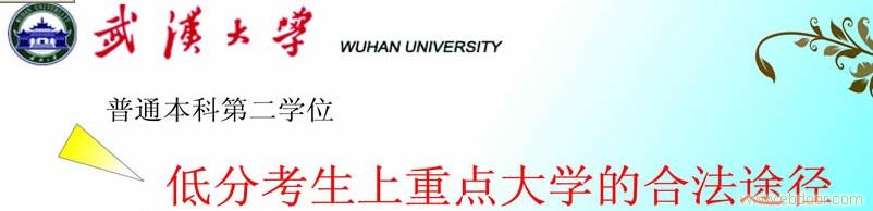 武汉大学第二学位招生