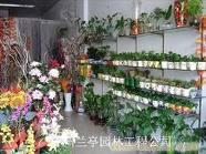 花卉绿植租摆