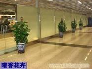 办公室绿植租摆