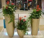 花卉绿植租摆公司