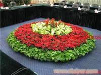园艺绿植租摆