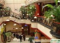 浦东绿植租摆