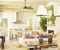 绿植租摆公司/上海杰乐