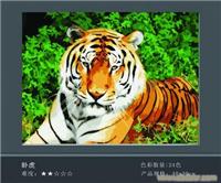 卧虎