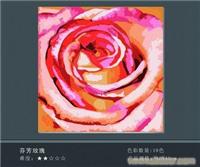 芬芳玫瑰