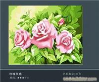 玫瑰争艳