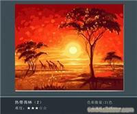 热带雨林2