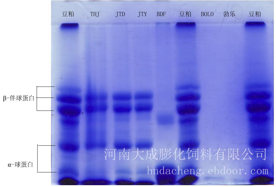 发酵豆粕 ，河南大成发酵豆粕