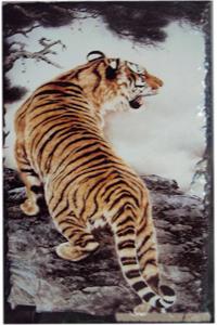 上海华艺天然石板画