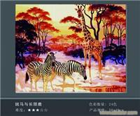 斑马与长颈鹿
