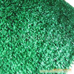 【批发】低价供应丙纶人造草坪（16元/平方米）