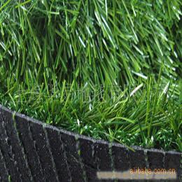 供应直曲混纺PE人造草坪（复合底布）