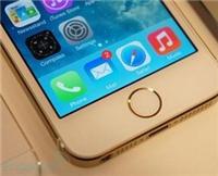 上海苹果iphone5s手机批发商-上海苹果手机专卖店