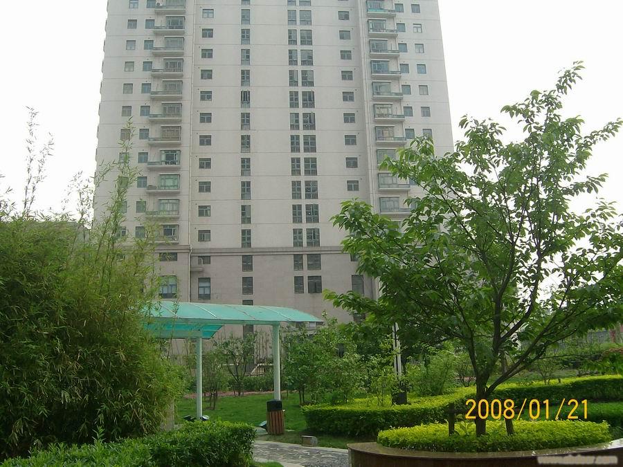 四川北路凯润金城出租�